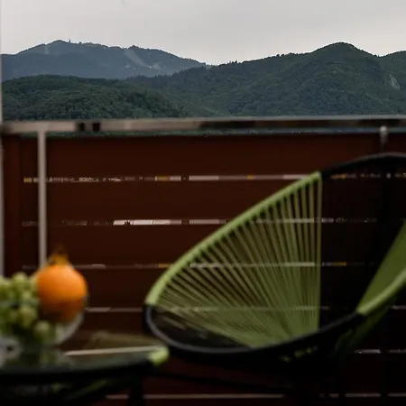 Skylark - Miami Studio With Terrace & Mountain View Braşov